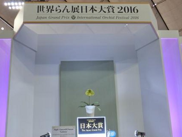 アップロードファイル 309-3.jpg