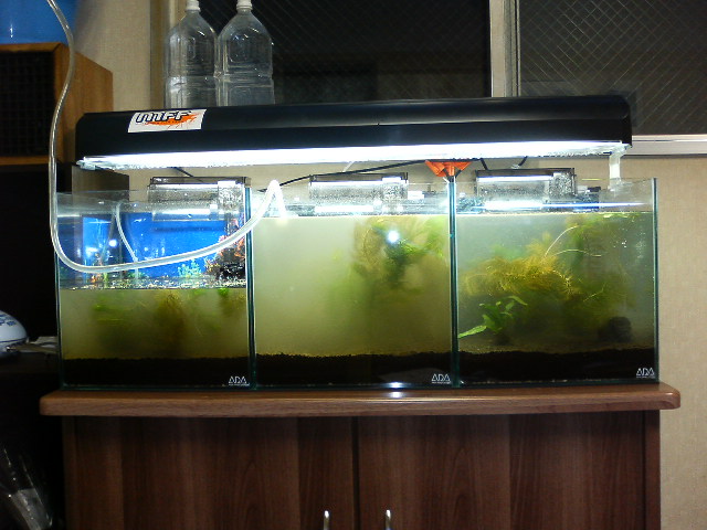 アップロードファイル 31-1.jpg