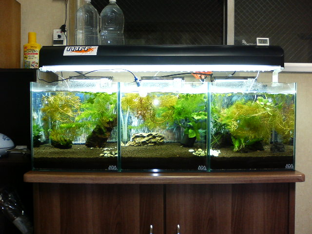 アップロードファイル 31-2.jpg