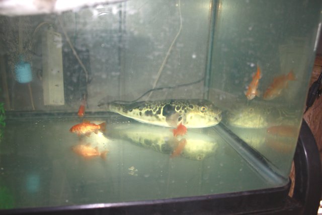 アップロードファイル 314-1.jpg