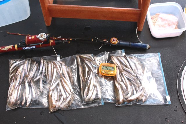 アップロードファイル 315-4.jpg