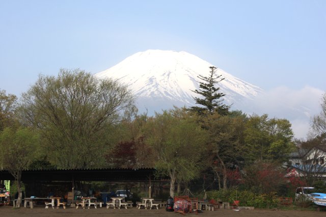 アップロードファイル 316-1.jpg