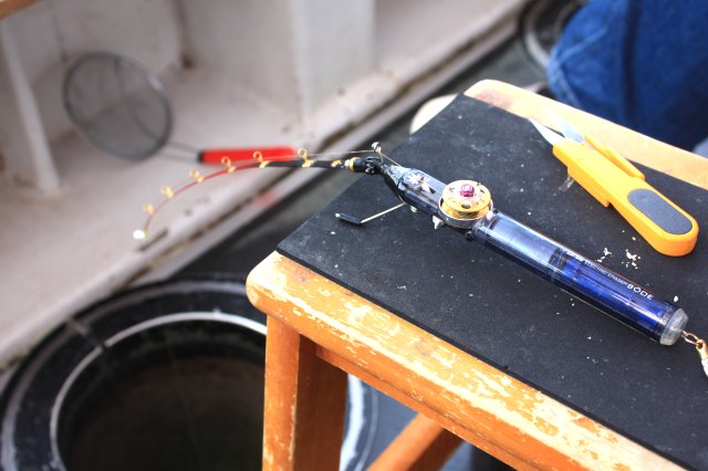 アップロードファイル 316-3.jpg