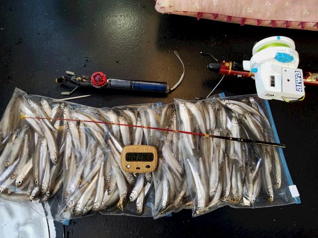 アップロードファイル 329-4.jpg