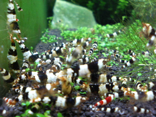 アップロードファイル 33-4.jpg