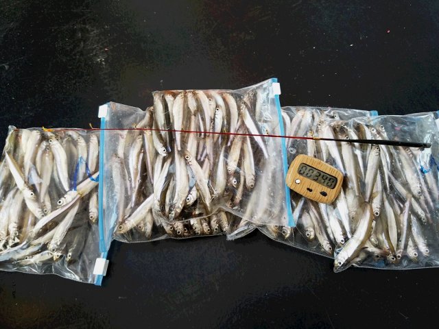 アップロードファイル 331-6.jpg