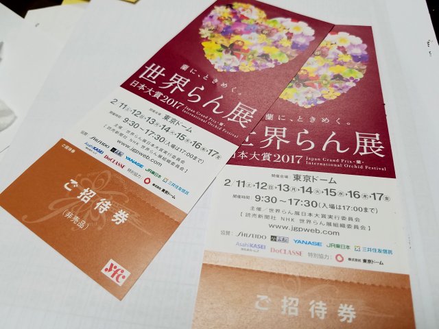 アップロードファイル 338-1.jpg