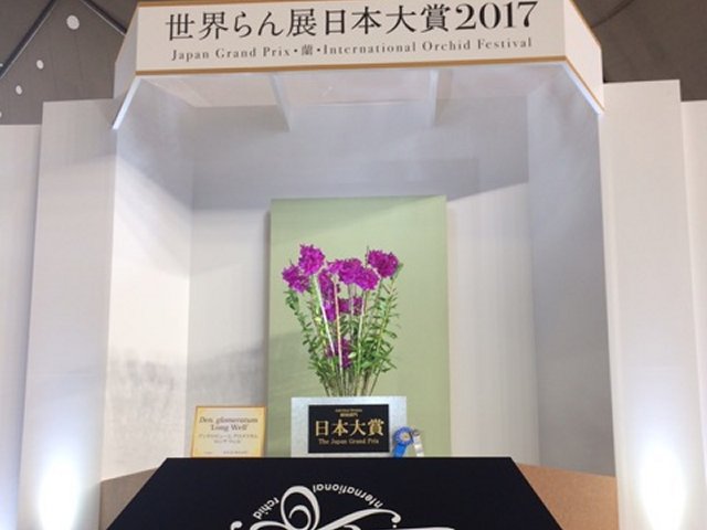 アップロードファイル 338-4.jpg