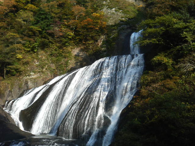 アップロードファイル 34-1.jpg