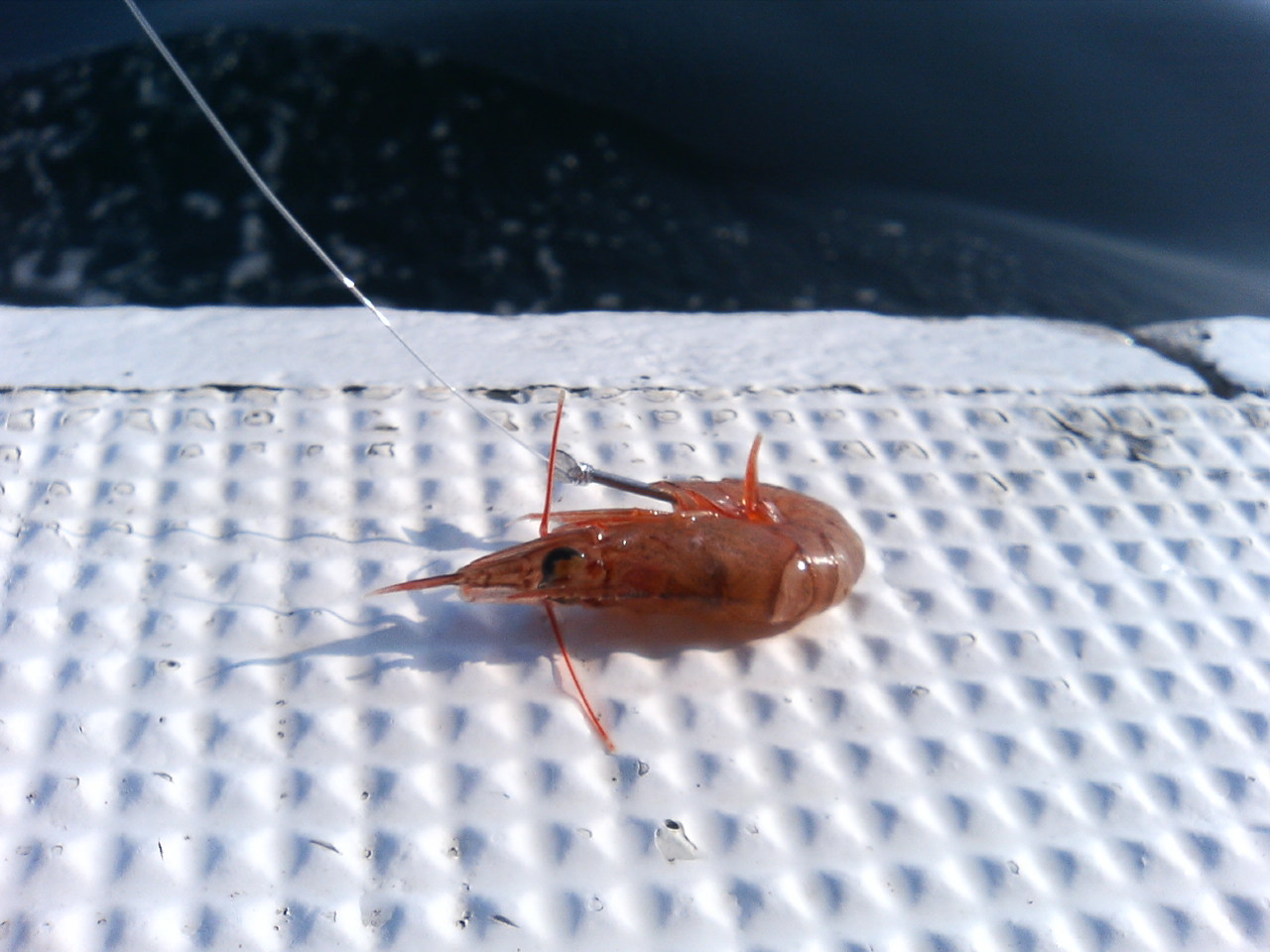 アップロードファイル 34-4.jpg