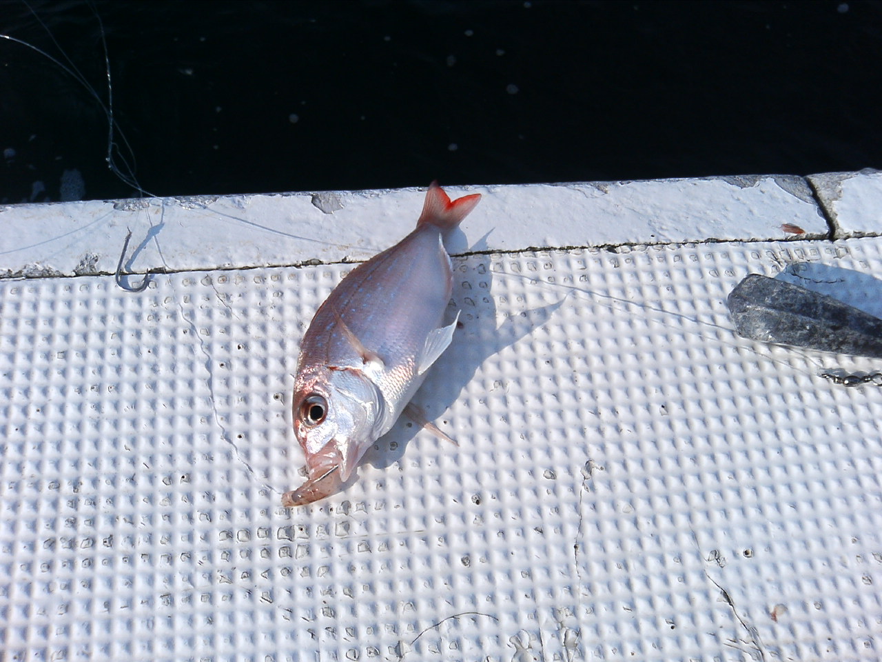 アップロードファイル 34-5.jpg