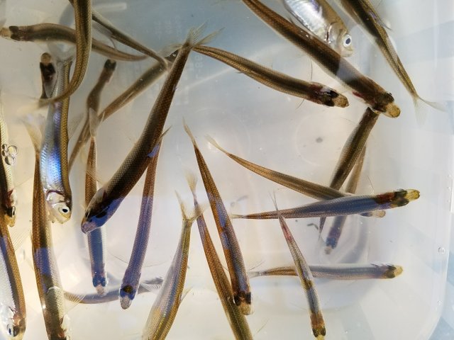 アップロードファイル 344-2.jpg