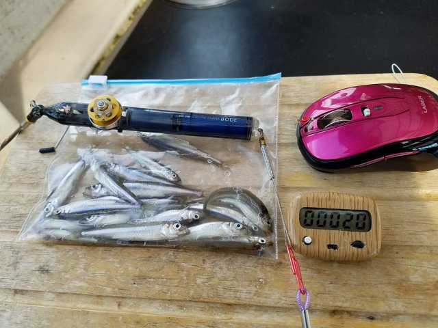 アップロードファイル 346-4.jpg