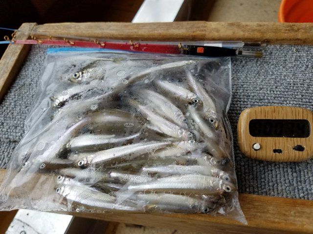 アップロードファイル 347-4.jpg