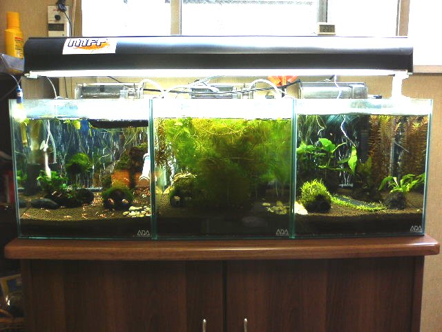 アップロードファイル 35-1.jpg