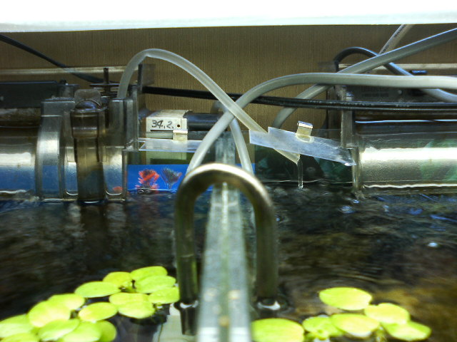 アップロードファイル 35-2.jpg