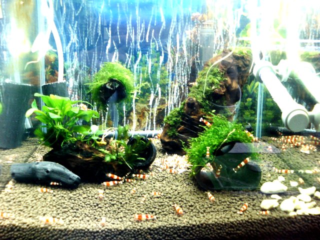 アップロードファイル 35-3.jpg