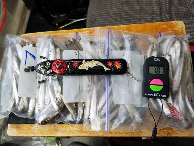 アップロードファイル 354-5.jpg