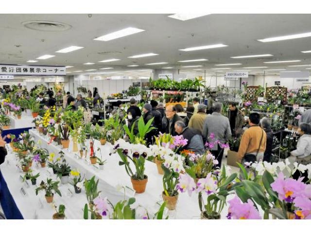 アップロードファイル 358-4.jpg