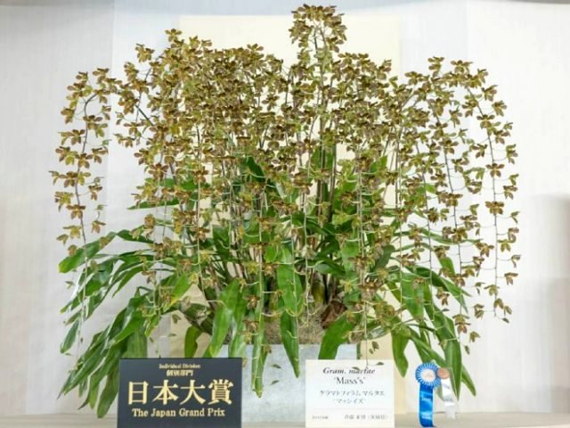 アップロードファイル 358-5.jpg