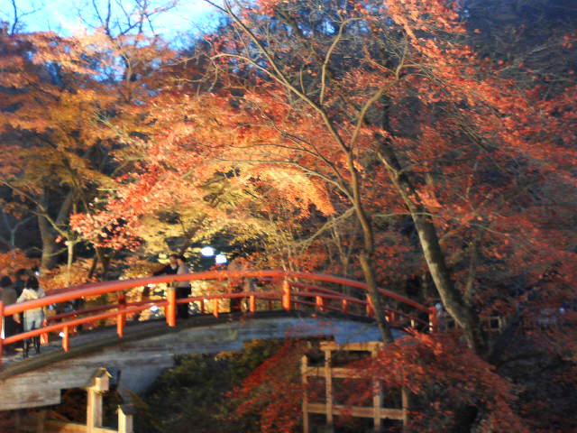 アップロードファイル 36-4.jpg