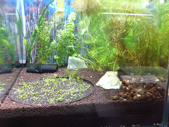 アップロードファイル 38-2.jpg