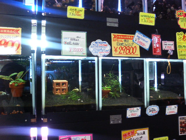 アップロードファイル 38-4.jpg