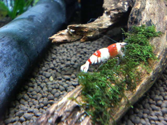 アップロードファイル 40-3.jpg