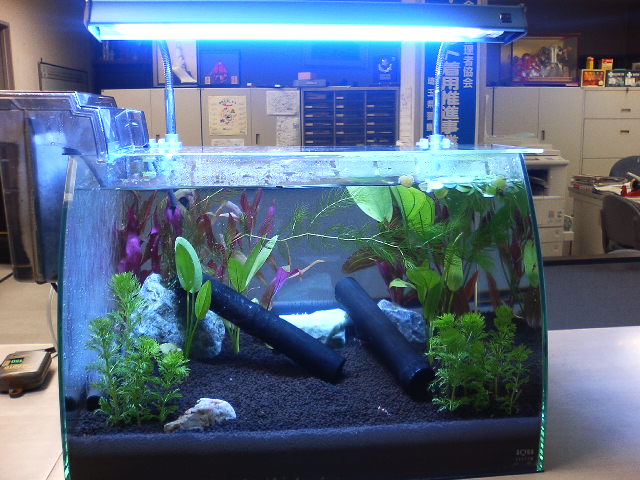 アップロードファイル 42-1.jpg