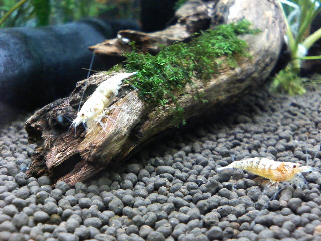 アップロードファイル 42-2.jpg