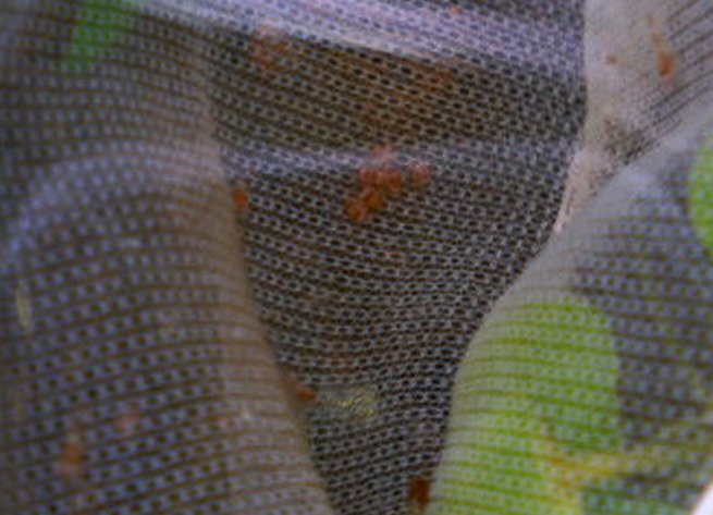 アップロードファイル 43-2.jpg