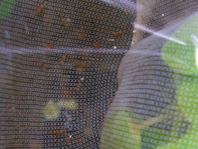 アップロードファイル 43-3.jpg