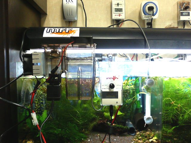 アップロードファイル 45-1.jpg