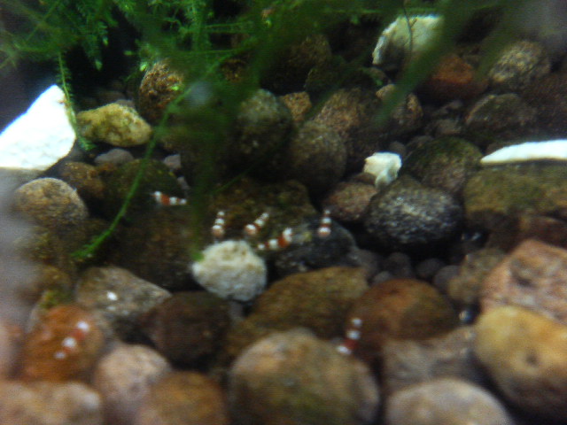 アップロードファイル 45-2.jpg