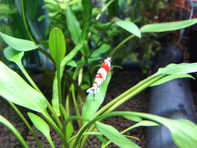 アップロードファイル 47-1.jpg