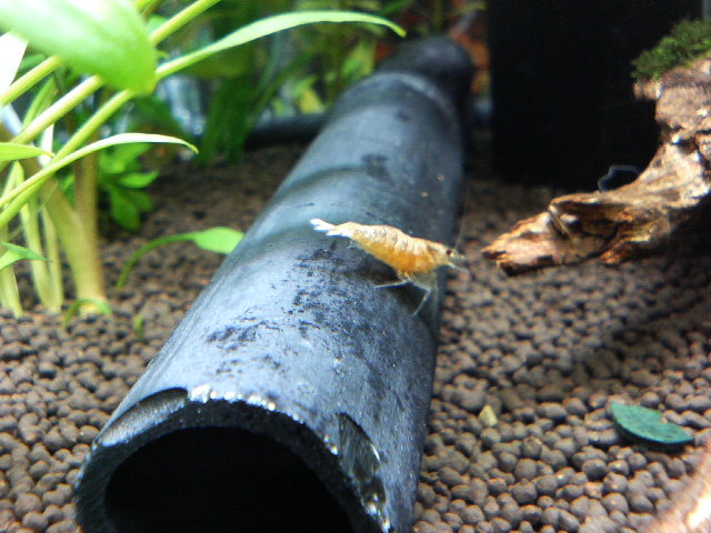 アップロードファイル 47-2.jpg