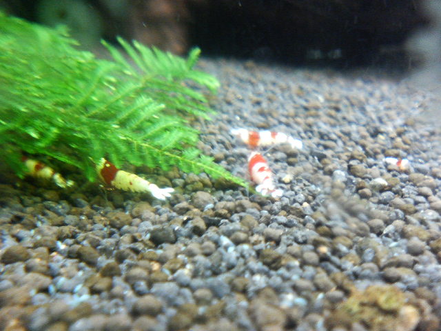 アップロードファイル 47-3.jpg