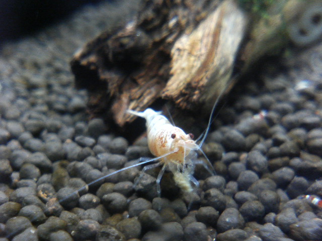 アップロードファイル 47-4.jpg