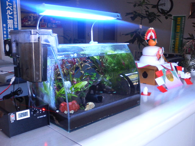 アップロードファイル 47-5.jpg