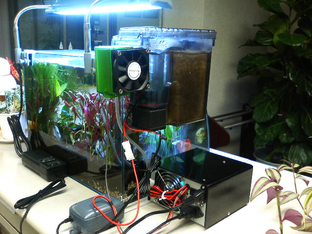 アップロードファイル 51-5.jpg