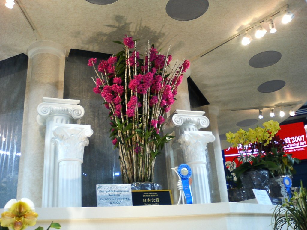 アップロードファイル 62-1.jpg