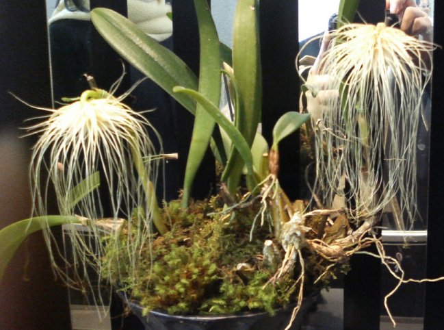 アップロードファイル 62-2.jpg