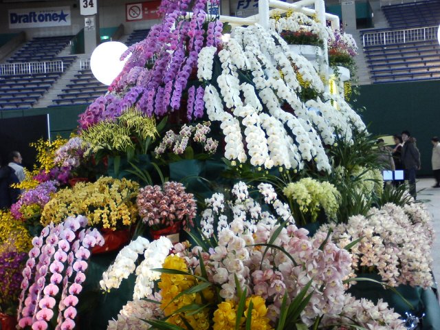 アップロードファイル 62-3.jpg