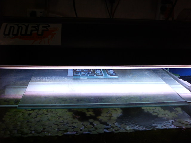 アップロードファイル 66-2.jpg