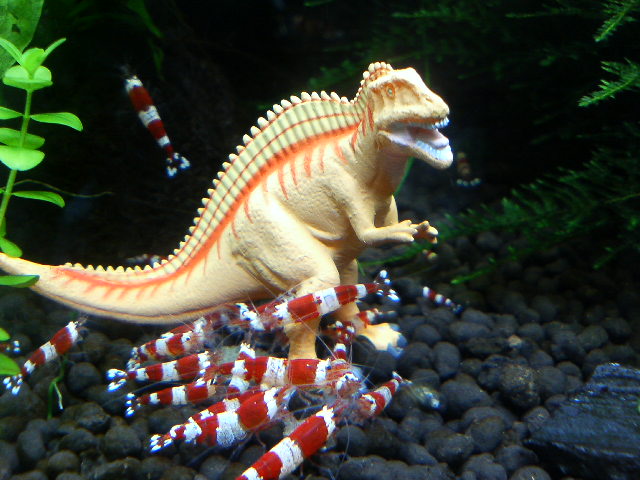 アップロードファイル 68-2.jpg