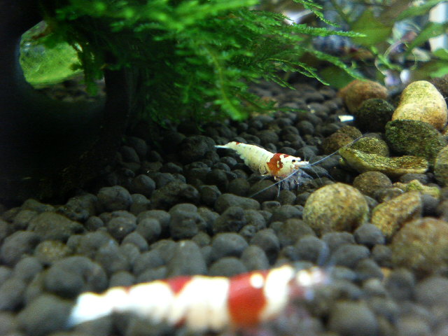 アップロードファイル 70-1.jpg