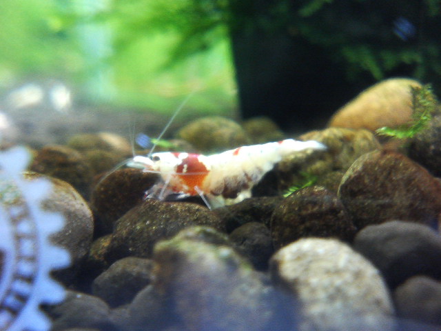 アップロードファイル 70-2.jpg