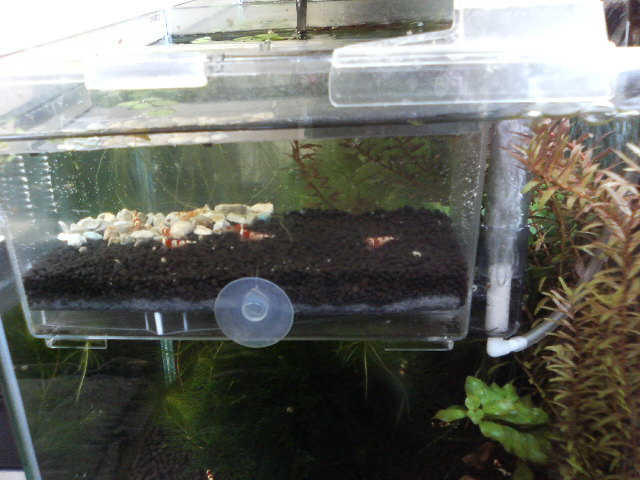 アップロードファイル 71-1.jpg