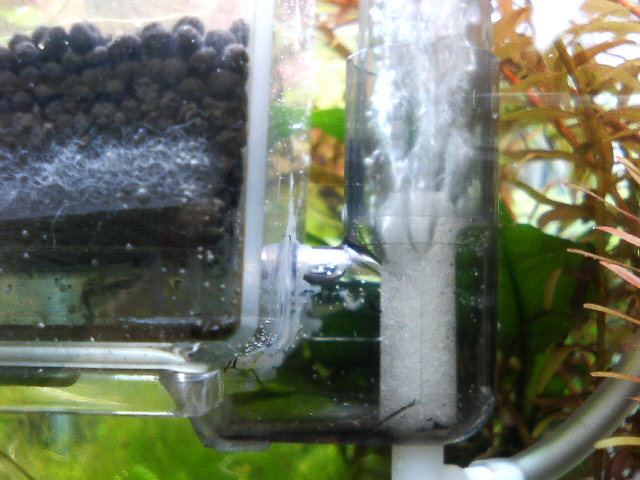 アップロードファイル 71-2.jpg