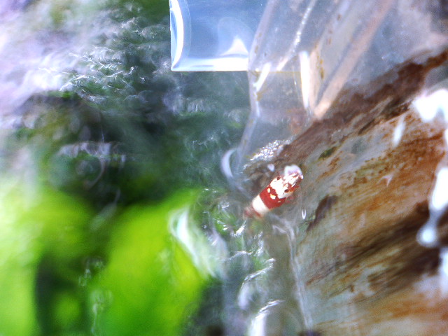 アップロードファイル 71-4.jpg